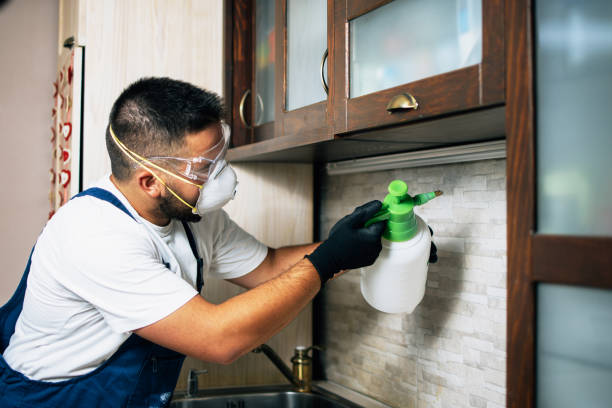 Cedarhurst, NY Pest Control Company
