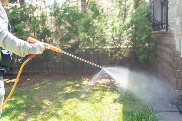Best Local Pest Control Services  in Cedarhurst, NY