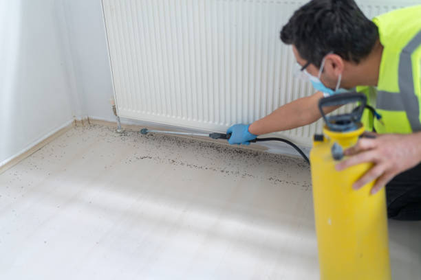Best Pest Prevention Services  in Cedarhurst, NY